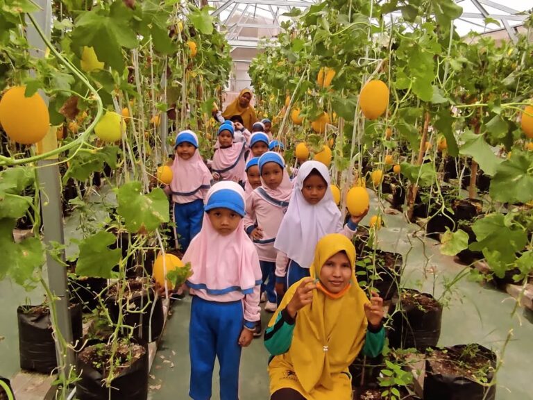 Keseruan PAUD Al Muhajirin Pulau Ampel di greenhouse @umahtani.id .Selain anak anak bisa meliha (3)