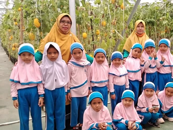 Keseruan PAUD Al Muhajirin Pulau Ampel di greenhouse @umahtani.id .Selain anak anak bisa meliha