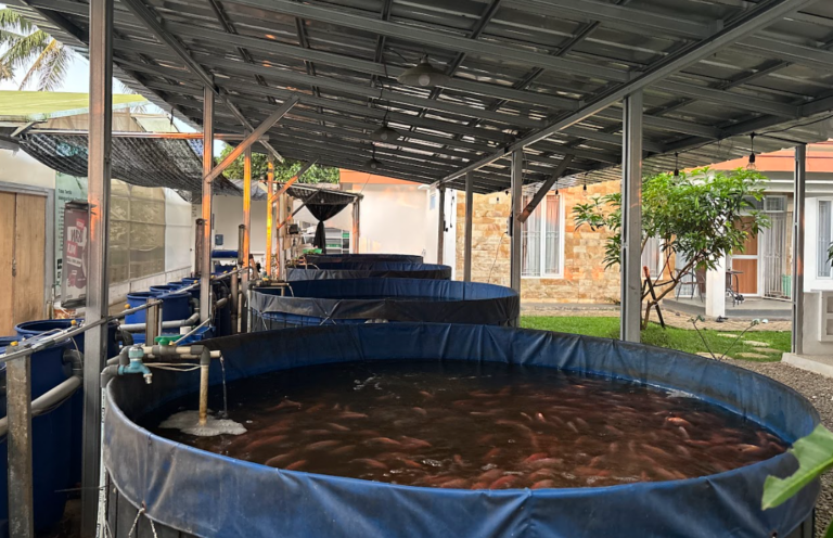 Screenshot from 2026-02-08 13-07-09