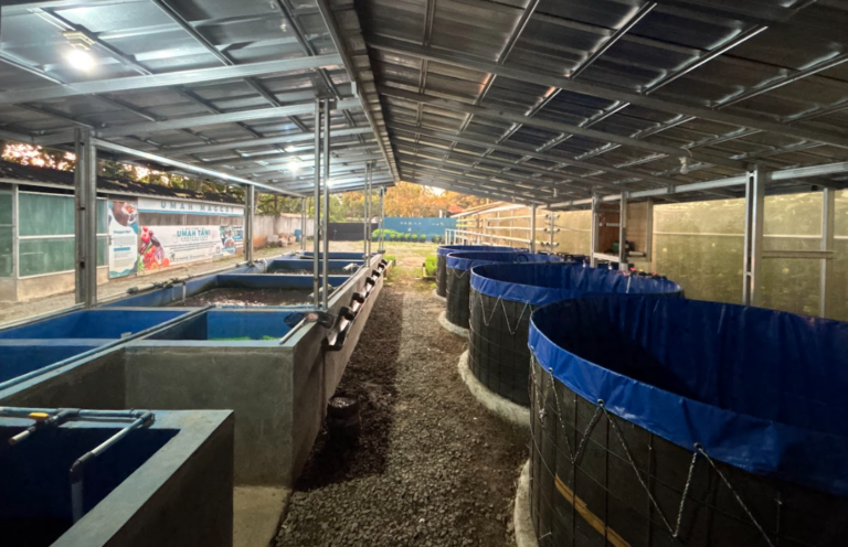 Screenshot from 2026-02-08 13-07-14