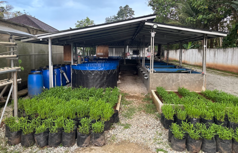 Screenshot from 2026-02-08 13-07-18