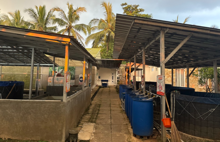 Screenshot from 2026-02-08 13-07-37