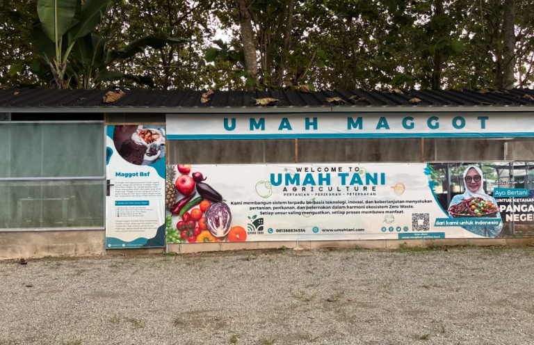 Screenshot from 2026-02-08 13-17-38