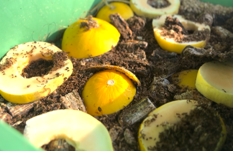 Screenshot from 2026-02-08 13-17-46