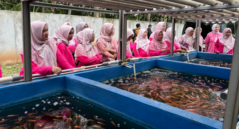 Screenshot from 2026-02-08 13-39-05