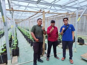 Kunjungan cap Panah Merah