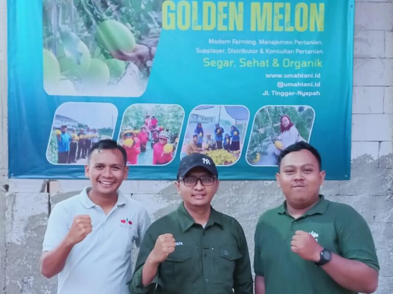 Terima kasih kepada team @cappanahmerah sudah berkunjung ke lahan @umahtani.id . Kami memiliki  (3)