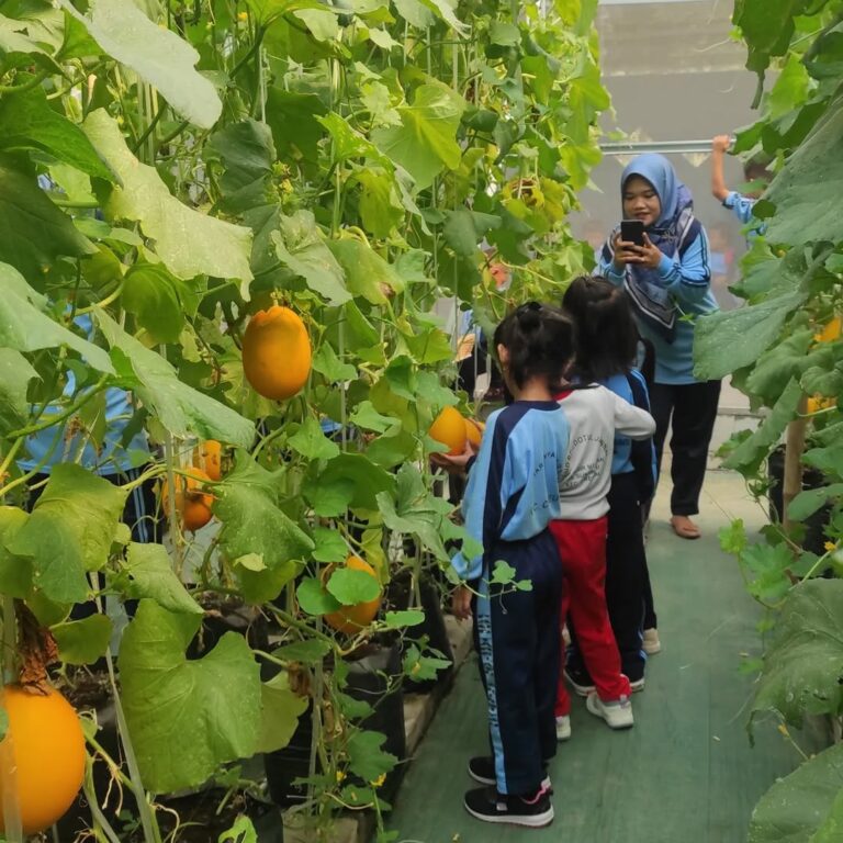 Terimakasih atas kunjungan Fieldtrip nya di umah tani, dari PAUD TARBIYATTU SHIBBIYAN Cikeusal, (4)